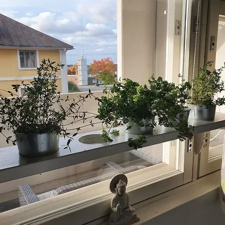 Appartement Saunallinen Yksioe Ydinkeskustassa, Iso Parveke Laitila